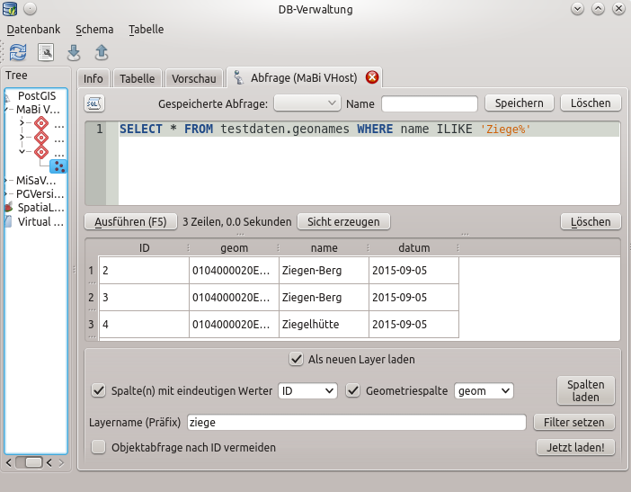 ../../../_images/db_manager_sql.png